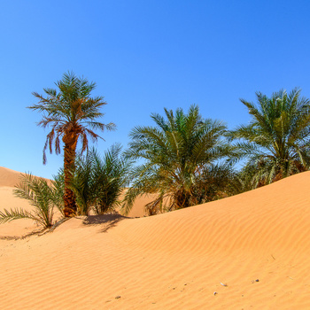 Двудневна екскурзия в пустинята Сахара