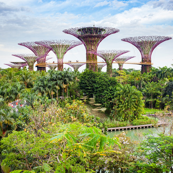 Посещение на ботаническата градина “Gardens by the Bay”