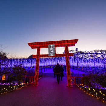 Shibuya Sky и teamLab